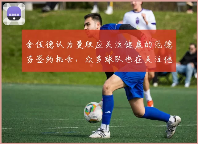 舍伍德认为曼联应关注健康的范德芬签约机会，众多球队也在关注他